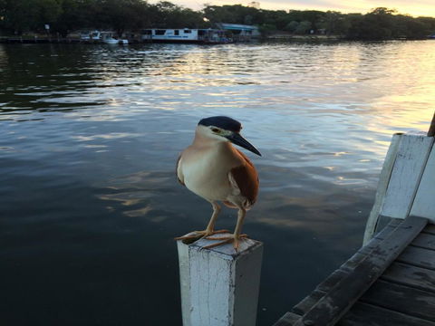 Mandurah Riverfront Holiday Rental - Great Ocean Road Tourism 1