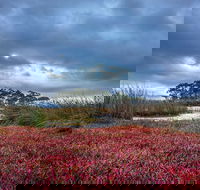 Saintys Creek Cottage - Great Ocean Road Tourism