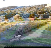 Twisted Gum Cottage - Great Ocean Road Tourism