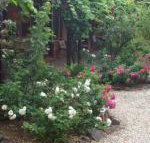 Maldons Eaglehawk Motel - Great Ocean Road Tourism