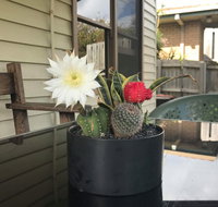 Port Campbell Guesthouse  Flash Packers