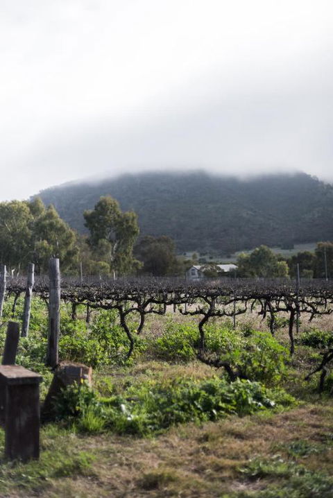 Hope Farm Guesthouse - Great Ocean Road Tourism 2