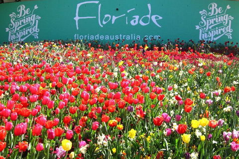 Ivy & Roses Boutique Apartments - Great Ocean Road Tourism 3