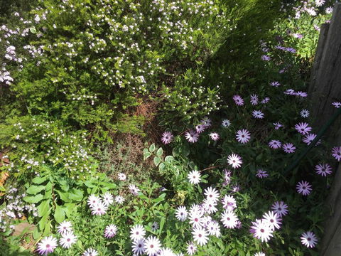 Nest On A Crest - Great Ocean Road Tourism 4