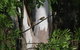 Deniliquin Riverside Caravan Park - thumb 6