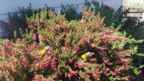 Injune Haven - Great Ocean Road Tourism 2