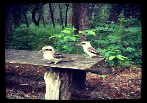 Getaways At Byfield - Great Ocean Road Tourism 1