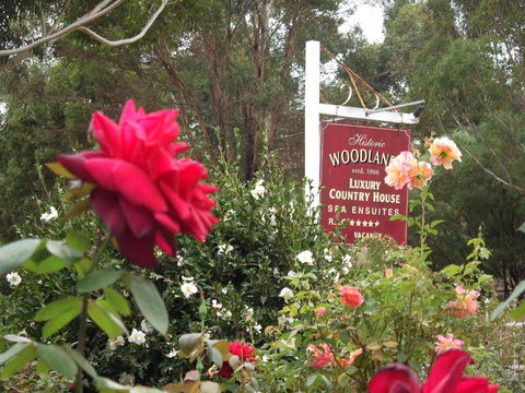 Woodlands Of Bridgetown B & B - Great Ocean Road Tourism 5