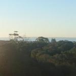 Panorama At Rye - Great Ocean Road Tourism 1