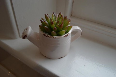 Two Cow Cottage Bed & Breakfast - Great Ocean Road Tourism 2