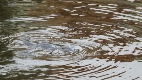 Penguin Seaside Homestay - Great Ocean Road Tourism 2