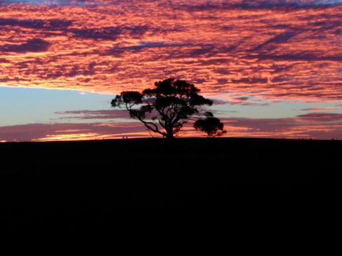 Heartland Hideaway - Great Ocean Road Tourism 3