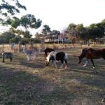 Heartland Hideaway - Great Ocean Road Tourism 0