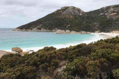 Zephyr Studio - Great Ocean Road Tourism 6