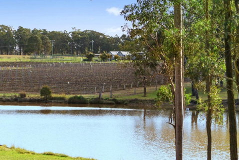 Ironbark Villa 4 - Great Ocean Road Tourism 6