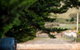 Wattle Grove Homestead Bed & Breakfast - thumb 5