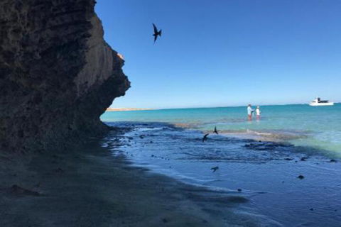 Peoples Park - Great Ocean Road Tourism 7