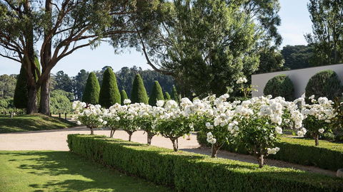 Lancemore Lindenderry Red Hill - Great Ocean Road Tourism 1