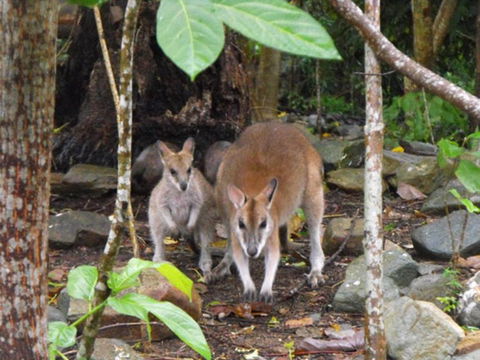 Yachtsmans Paradise Whitsundays - Great Ocean Road Tourism 6
