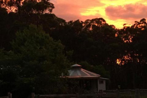 Ionaforest Yurt & Shepherds Hut - Great Ocean Road Tourism 4