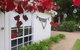 The Cottage - thumb 5
