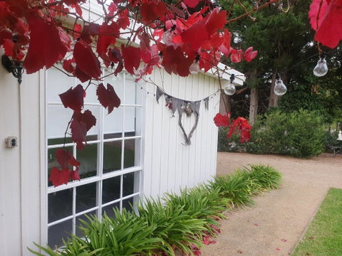 The Cottage - Great Ocean Road Tourism 5