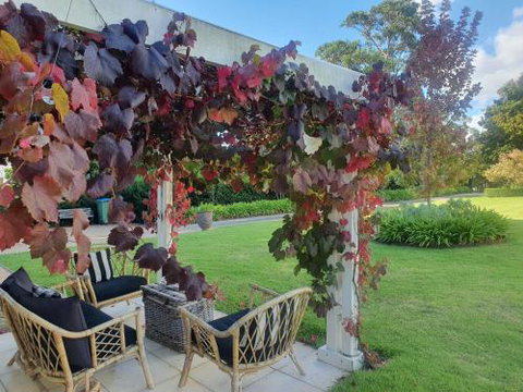 The Cottage - Great Ocean Road Tourism 6