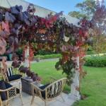 The Cottage - Great Ocean Road Tourism 0