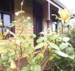 Albion Cottage - Great Ocean Road Tourism