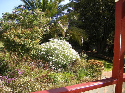 Belle Cottage - Great Ocean Road Tourism 1