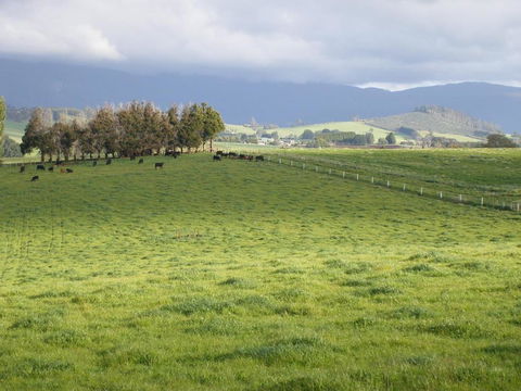 Belle Cottage - Great Ocean Road Tourism 6