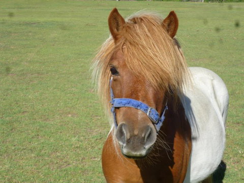 Woodvale At Cooma - Great Ocean Road Tourism 6