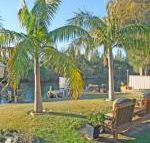 The Oasis on Jacobs Drive - Great Ocean Road Tourism