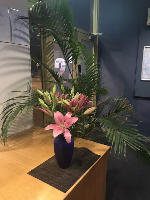 SmartStay Melbourne - Great Ocean Road Tourism 5