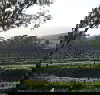 Jasmine's Cottage - Great Ocean Road Tourism