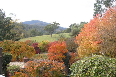 Riverhouse At Howqua Dale - Great Ocean Road Tourism 5