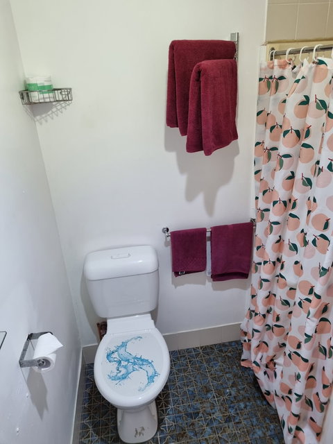 Taree Lodge Motel - Great Ocean Road Tourism 4