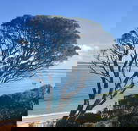 Cowes on the Bay - Great Ocean Road Tourism