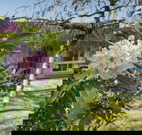 Wentworth Rose - Great Ocean Road Tourism