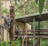 Springwood Meditation Vacation Center - Great Ocean Road Tourism