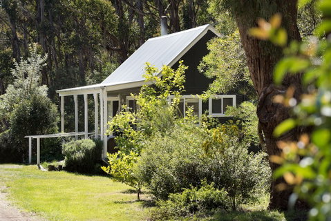 Bodhi - Great Ocean Road Tourism 0
