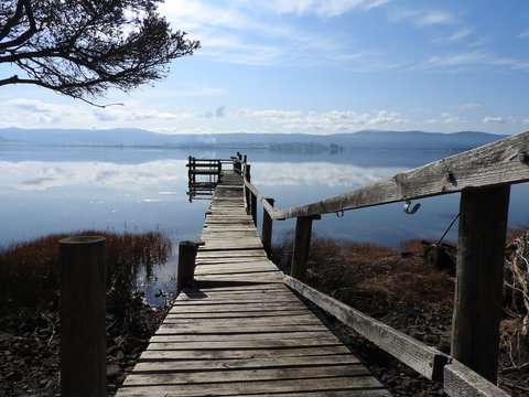 Tamar House - Great Ocean Road Tourism 5