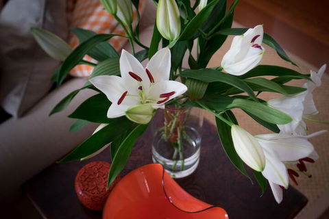 The Kinninmont House - Great Ocean Road Tourism 4