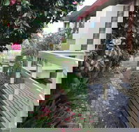 The Glen Family House - Great Ocean Road Tourism