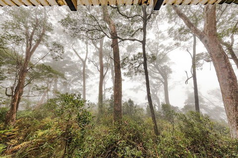 The Chalet - Great Ocean Road Tourism 1