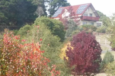 Abelia BIG SPA NO 1 Cottage - Great Ocean Road Tourism 2