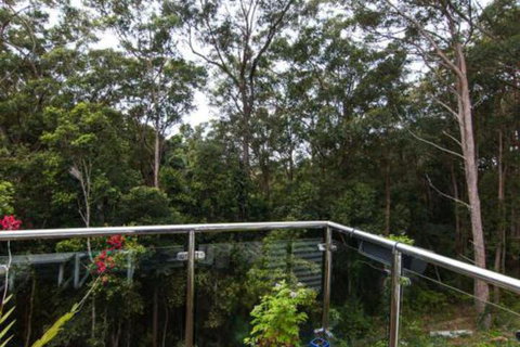 Kookaburras At Smiths - Great Ocean Road Tourism 7