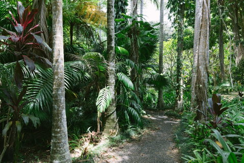 Sanctuary In The Pocket - Great Ocean Road Tourism 3