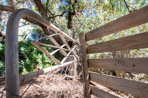 Old Swanport General Store - Great Ocean Road Tourism 1