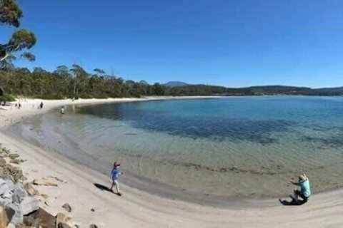 Mountain View Motel - Great Ocean Road Tourism 7